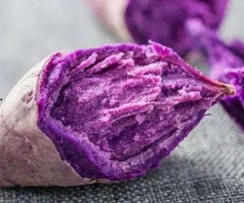 爆料美食紫薯仔视频,网红美食背后的美味秘密 第3张 爆料美食紫薯仔视频,网红美食背后的美味秘密 第3张